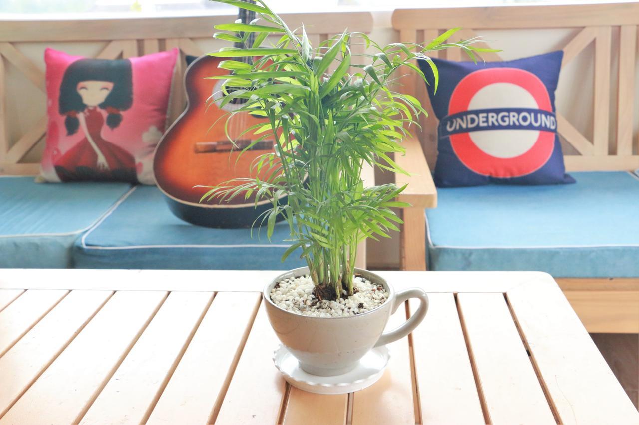 Dalat Eco Home Luaran gambar